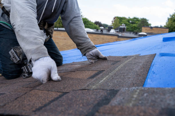 Best Roof Ventilation Installation  in Panthersville, GA