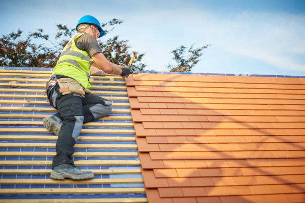 Best Roof Maintenance and Cleaning  in Panthersville, GA