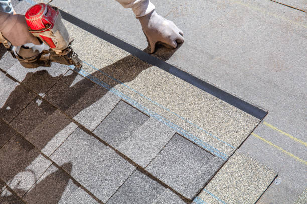 Best Roof Coating and Sealing  in Panthersville, GA